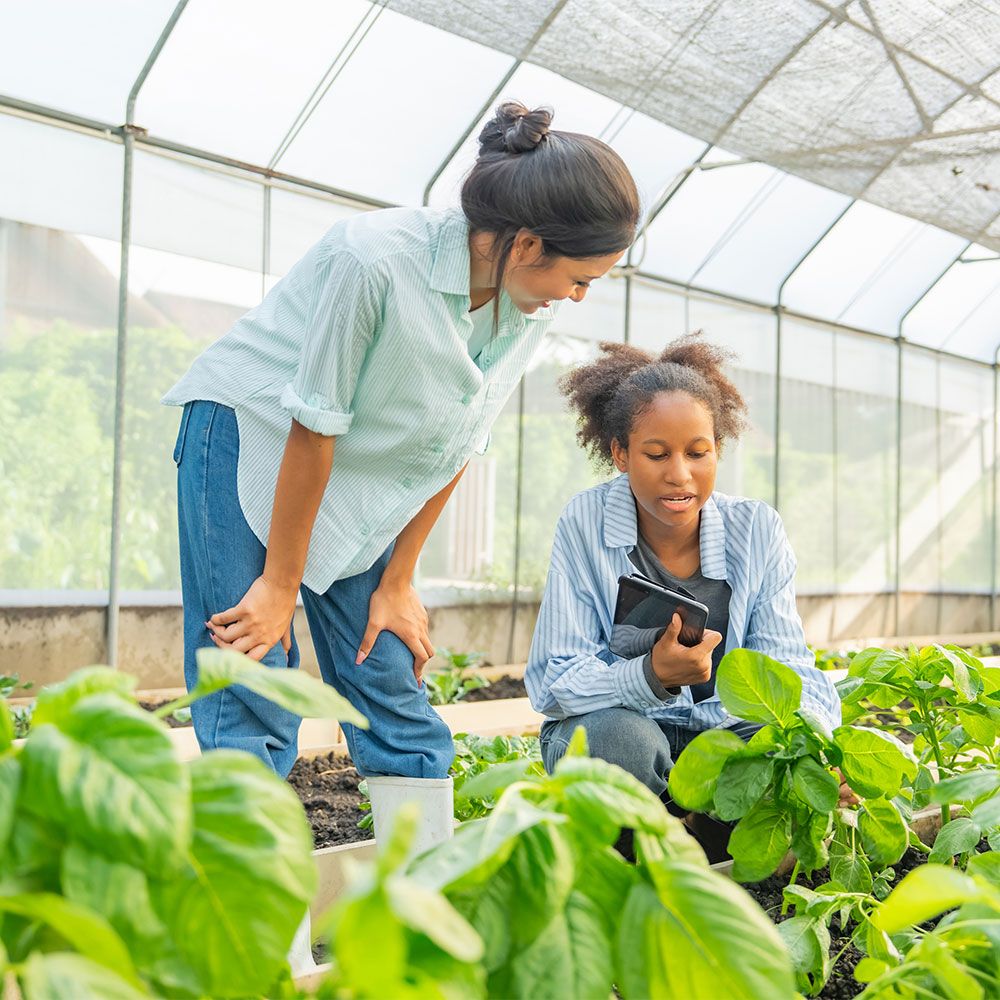 Students building an automated growing system in the Smart Greenhouse Program.