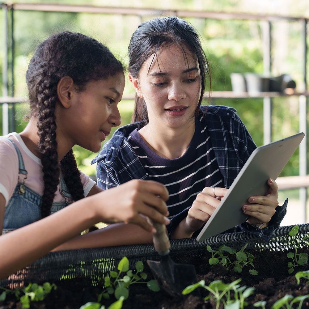 Students working hands-on with the automated greenhouse system built during the 2025 Smart Greenhouse pilot.